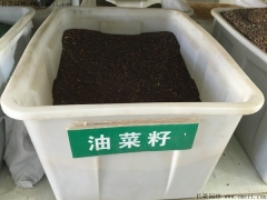 高发芽率菜籽种子，牧草种植技术指导及产量提升方法