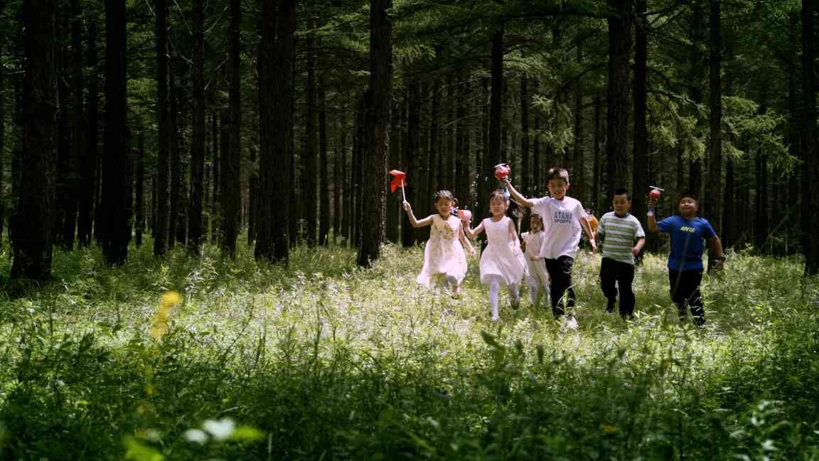 塞罕坝精神与生态文明建设的绿色传奇