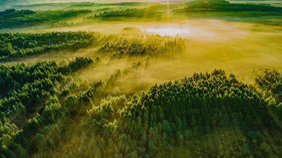 塞罕坝精神与生态文明建设的绿色传奇