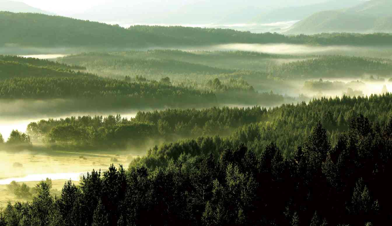 塞罕坝精神与生态文明建设的绿色传奇