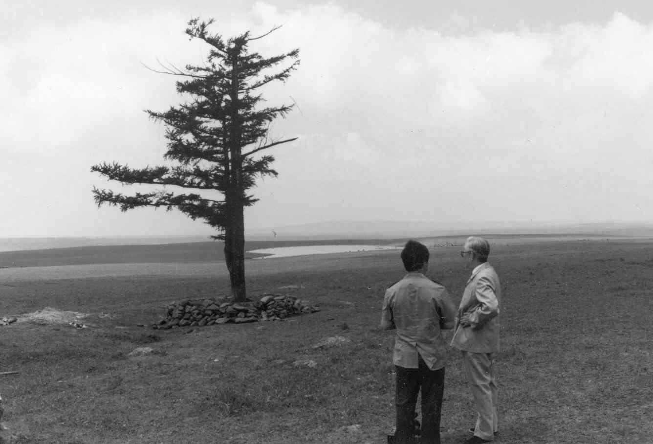 塞罕坝精神与生态文明建设的绿色传奇