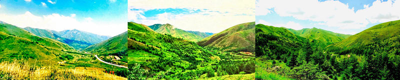 四张照片看宁夏南华山蝶变