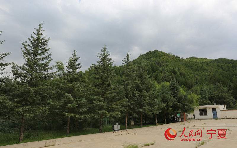 四张照片看宁夏南华山蝶变