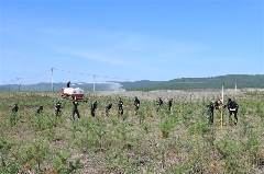 用绿色铺就矿山底色——大兴安岭集团古莲河矿业有限公司生态治理纪实