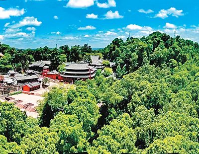 梓潼蜀道满眼绿