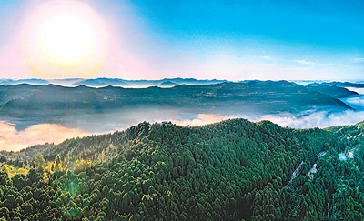 梓潼蜀道满眼绿