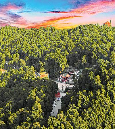 梓潼蜀道满眼绿