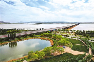 黄河乌海段生态廊道——水清岸绿景色美