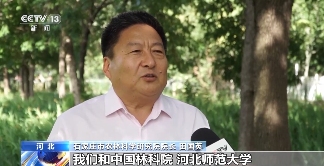 树要怎么种？乡土树种成绿化主力军 因地制宜是关键