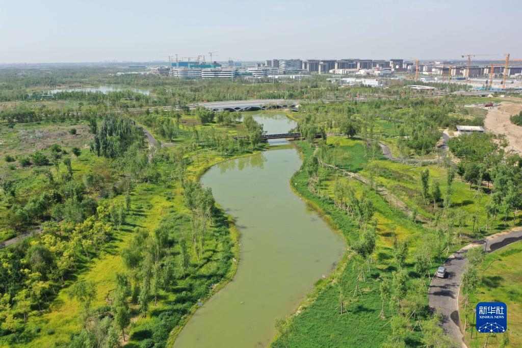 雄安新区：中央绿谷及东部溪谷生态廊道芳容初绽