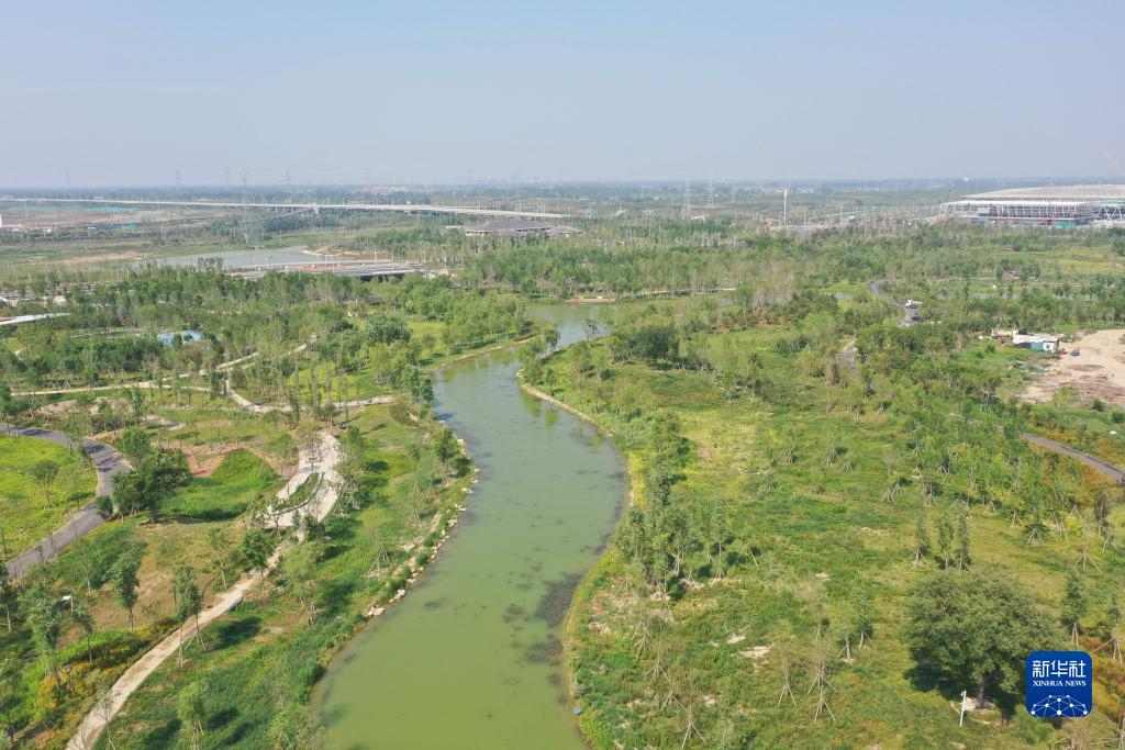 雄安新区：中央绿谷及东部溪谷生态廊道芳容初绽