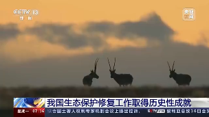 “绿色”成绩单亮眼！我国生态保护修复工作取得历史性成就