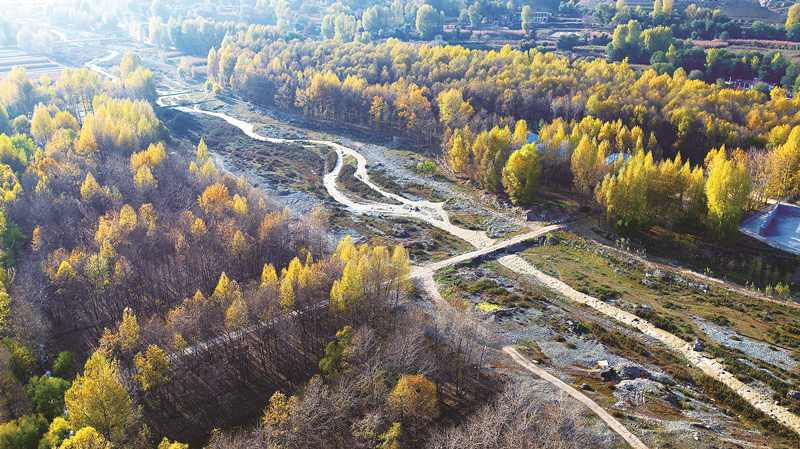 中国生态大省青海的绿色之变