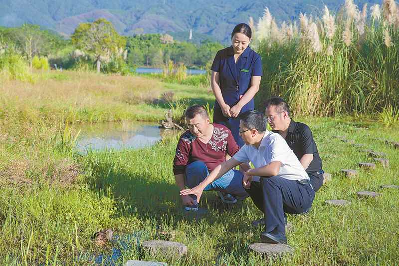 全国林草系统先进工作者陈世康：“虎将”的梁平生态逆袭战