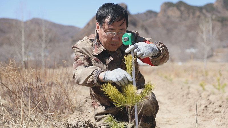 全国林草系统劳动模范王海东：“只要还有荒山未绿，造林绿化就不会停”