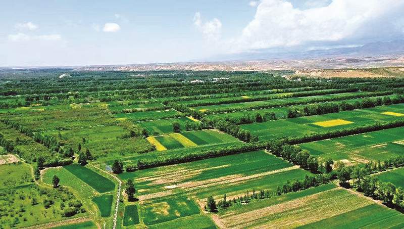 中国生态大省青海的绿色之变