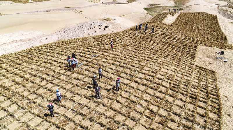 中国生态大省青海的绿色之变