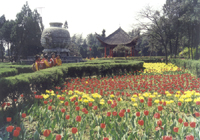 河南省人口最多、面积最大的地级市(图3) 河南省人口最多、面积最大的地级市(图3)