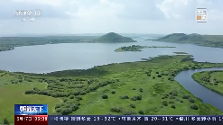 中国人种树有多牛？卫星告诉你→