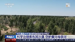 中国人种树有多牛？卫星告诉你→