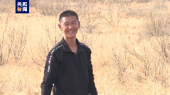 沙海→绿林 绿色接力棒就是这样一代代传递下去的