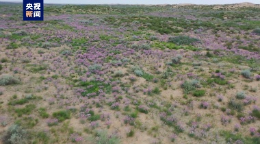 沙海→绿林 绿色接力棒就是这样一代代传递下去的