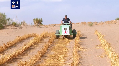 沙海→绿林 绿色接力棒就是这样一代代传递下去的