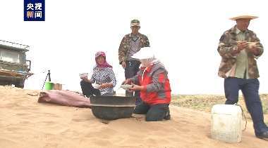 沙海→绿林 绿色接力棒就是这样一代代传递下去的