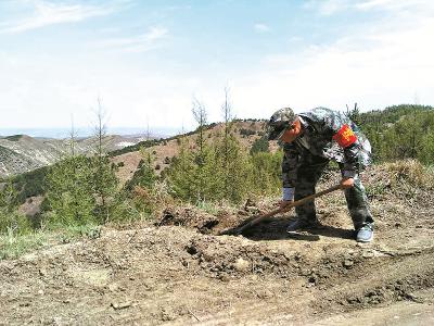 全国绿化劳动模范 | 从军人到护林员——记全国绿化劳动模范梁国平