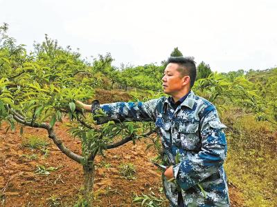 全国绿化劳动模范 | 绿了“家园子” 鼓了“钱袋子”——记全国绿化劳动模范王长海