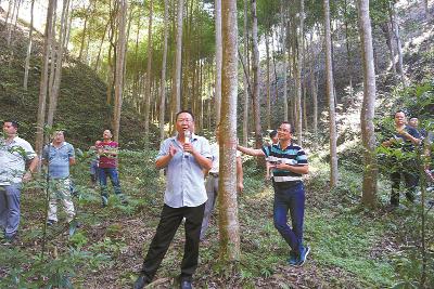 全国绿化先进工作者 | 一生只为这片绿——记全国绿化先进工作者刘洪生