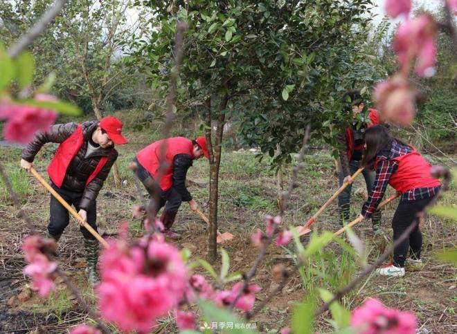 北方地区能在十月份能种植苗木吗?需因地制宜进行选择(图2) 北方地区能在十月份能种植苗木吗?需因地制宜进行选择(图2)