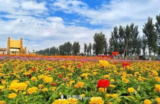 南阳很适合发展生态农业(图1)