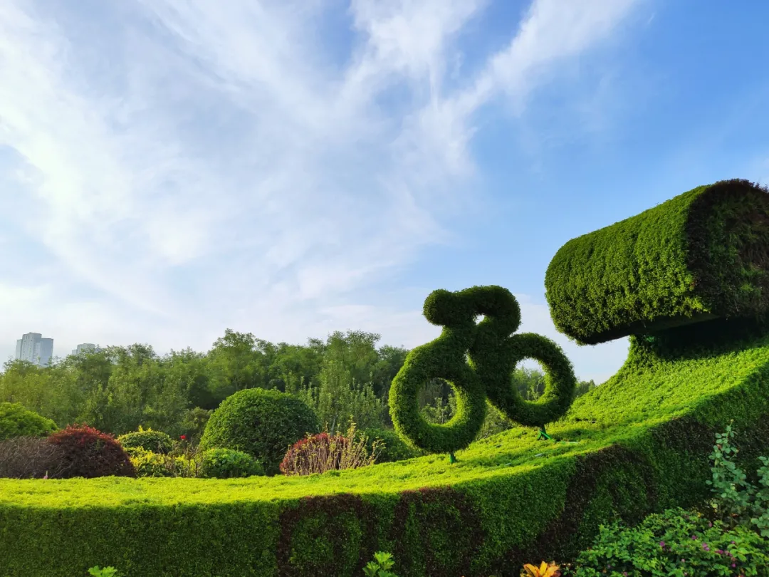 这种高颜值、高利润的苗木,竟然缺点不少(图1) 这种高颜值、高利润的苗木,竟然缺点不少(图1)