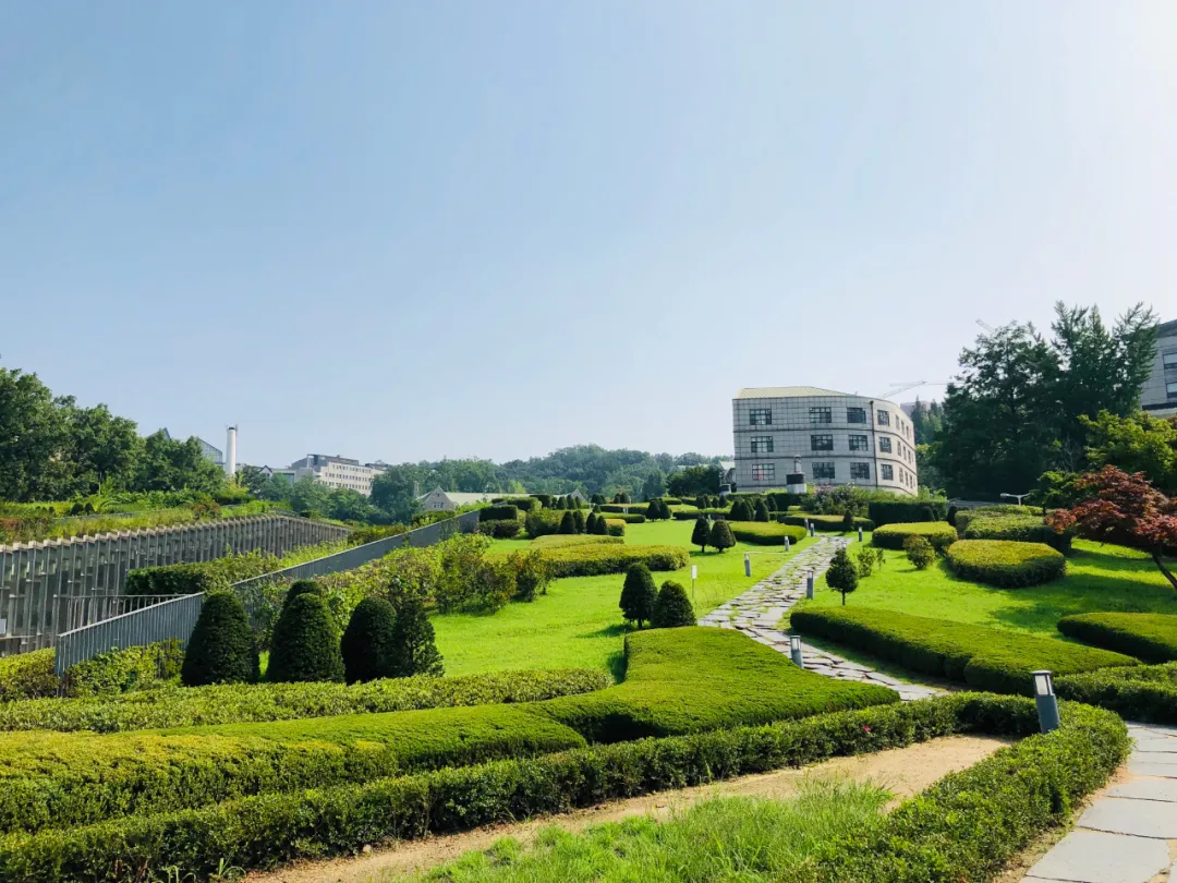 这种高颜值、高利润的苗木,竟然缺点不少(图5) 这种高颜值、高利润的苗木,竟然缺点不少(图5)