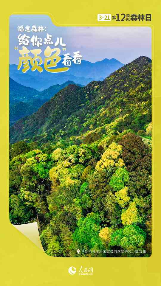 国际森林日丨让福建森林，给你点儿“颜色”看看