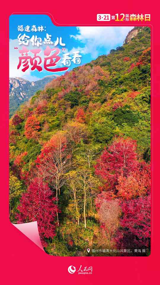 国际森林日丨让福建森林，给你点儿“颜色”看看