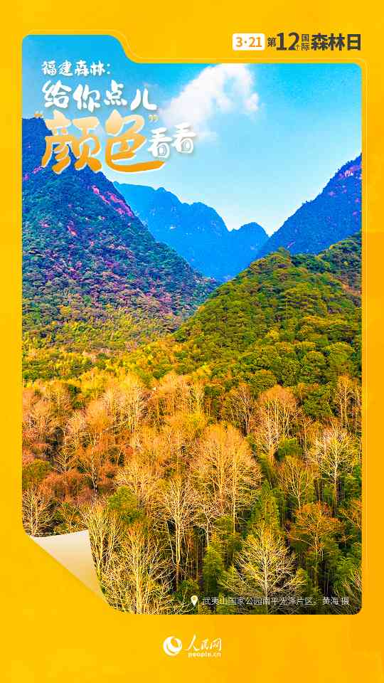 国际森林日丨让福建森林，给你点儿“颜色”看看