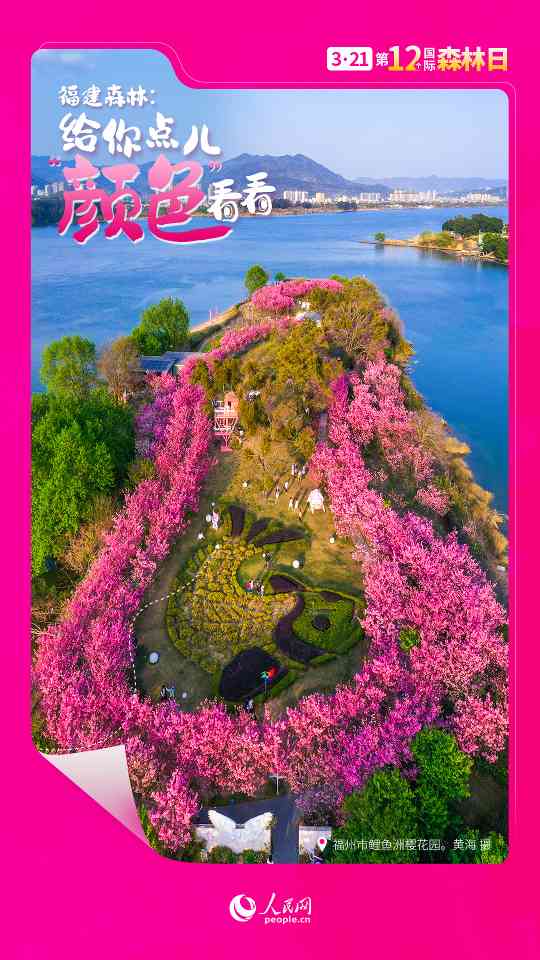 国际森林日丨让福建森林，给你点儿“颜色”看看