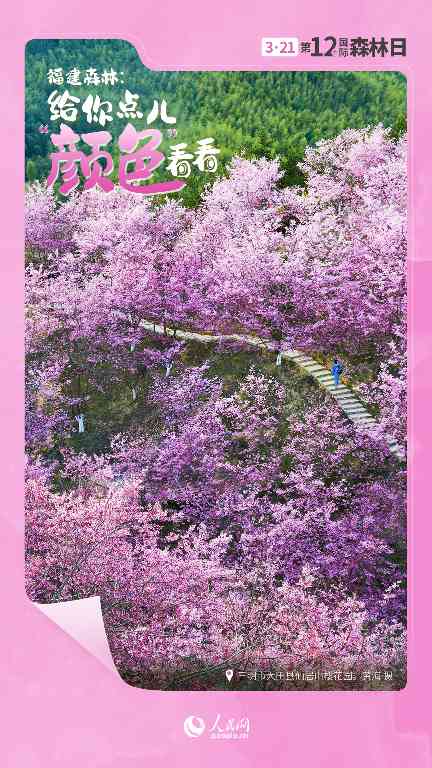 国际森林日丨让福建森林，给你点儿“颜色”看看