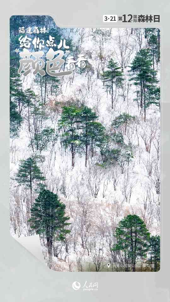 国际森林日丨让福建森林，给你点儿“颜色”看看