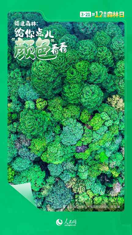 国际森林日丨让福建森林，给你点儿“颜色”看看