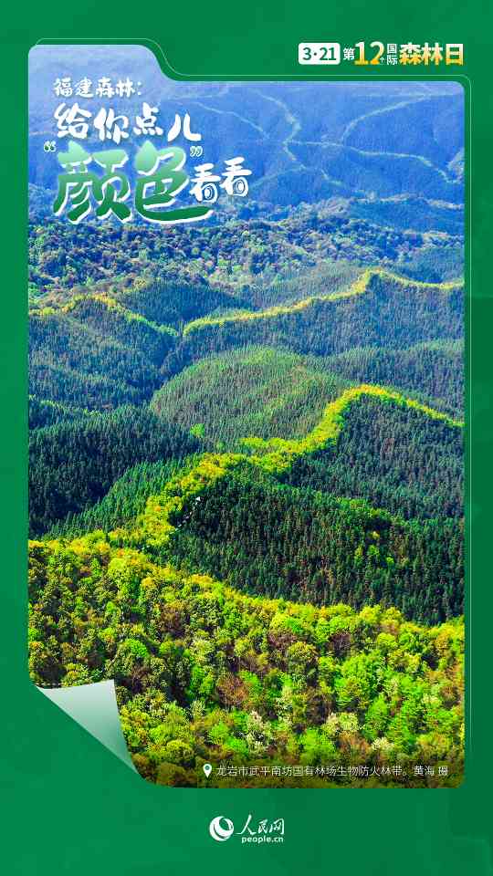 国际森林日丨让福建森林，给你点儿“颜色”看看