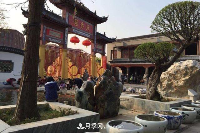 江西南昌天香园走红,有3万余的盆景,是南昌的“花卉之源”(图1) 江西南昌天香园走红,有3万余的盆景,是南昌的“花卉之源”(图1)