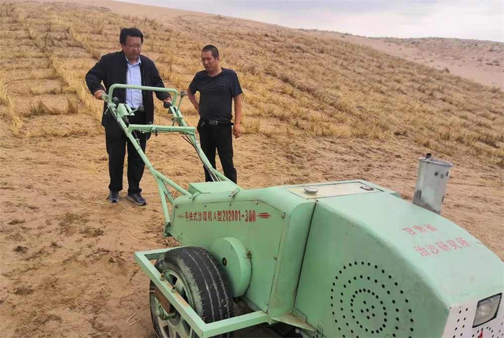 国土绿化转型与科学造林战略助力森林生态提质