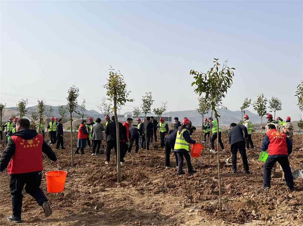 国土绿化转型与科学造林战略助力森林生态提质