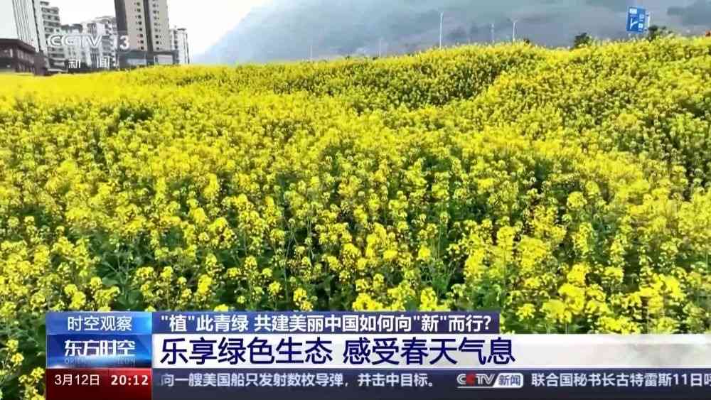 中国国土绿化新成效与环境改善带来的生活机遇