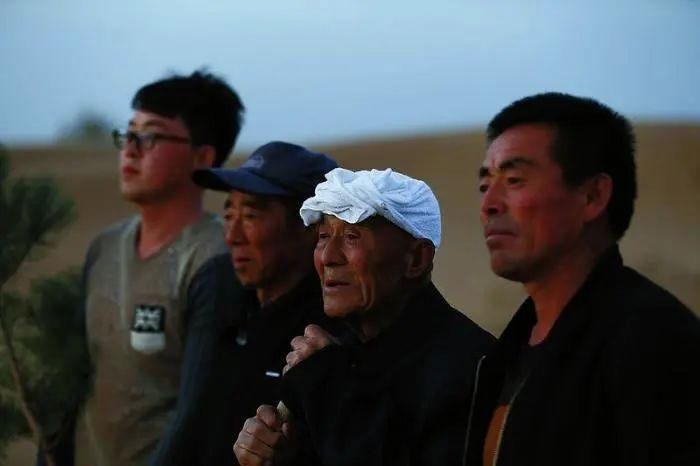 中国植树成就与毛乌素沙漠绿化进程揭秘