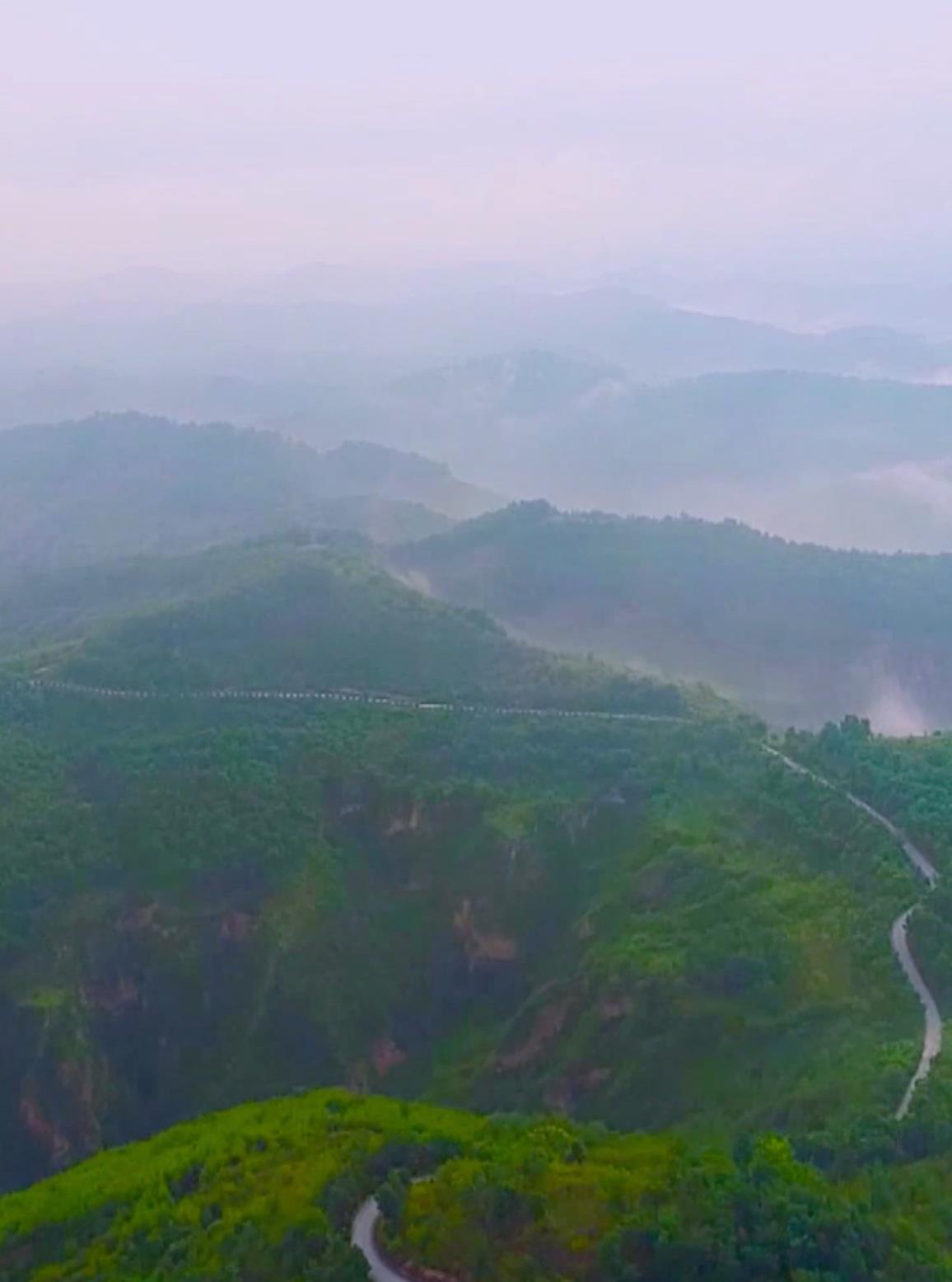 中国绿色奇迹植树造林成就与植树节知识解析