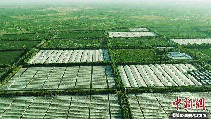 中国植树成就与毛乌素沙漠绿化进程揭秘